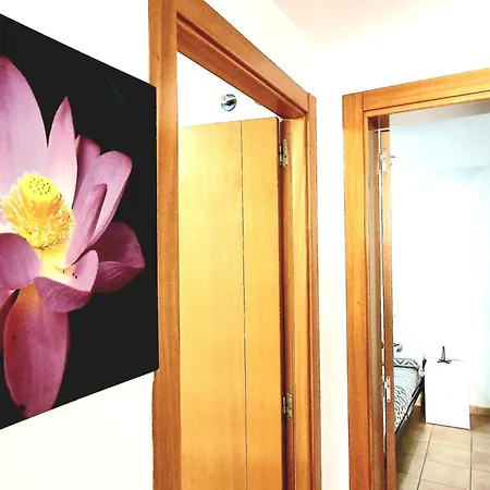 Paraiso 2 Bedroom Terrace Wifi Free